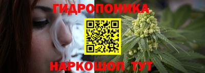 сатива Моздок