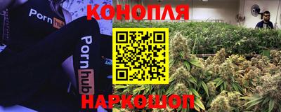 сатива Моздок