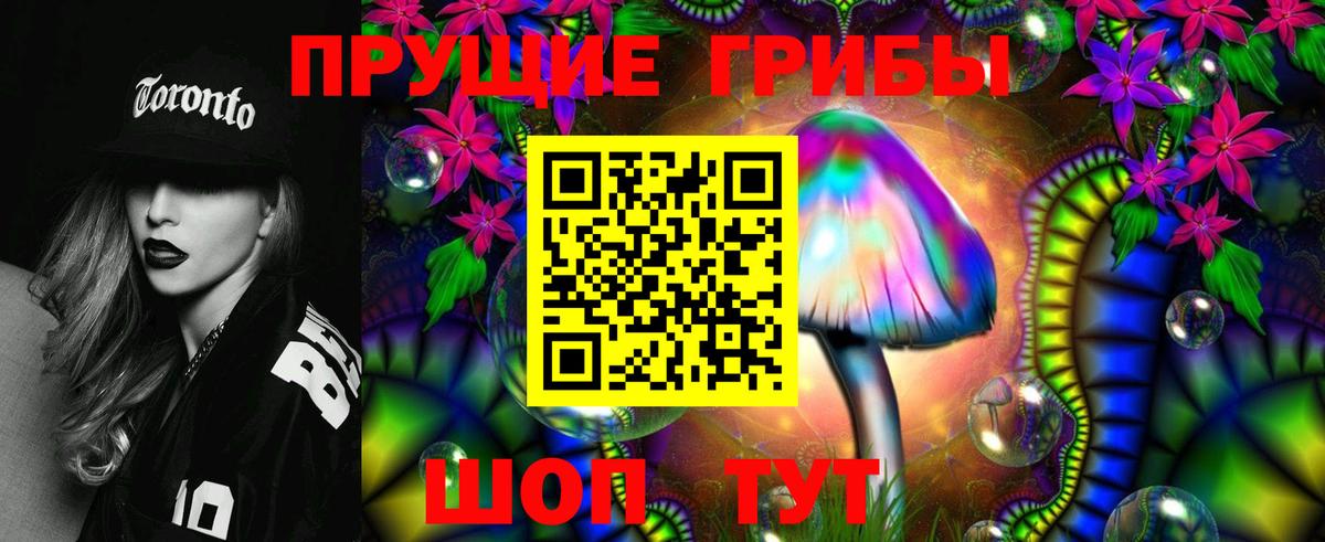 Галлюциногенные грибы Psilocybe Тавда